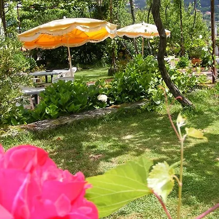 Quinta Do Fundo *