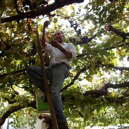 Quinta Do Fundo * Mondim de Basto
