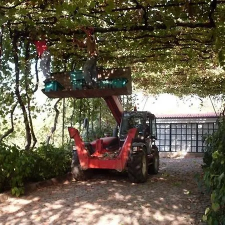 Casa di campagna Quinta Do Fundo